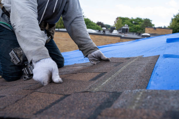 Best Residential Roofing Contractor  in Ecorse, MI