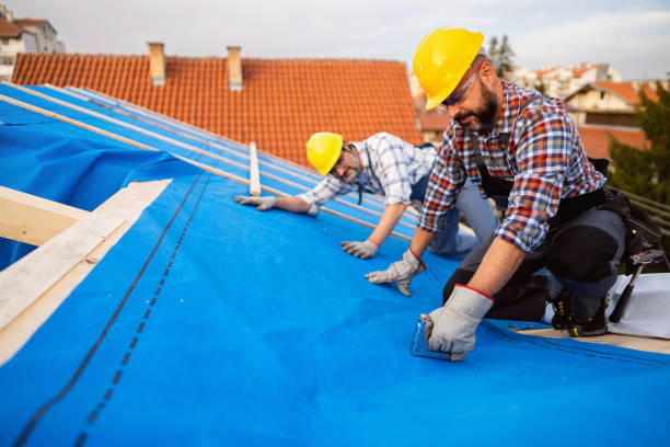 Best Roof Replacement Cost  in Ecorse, MI