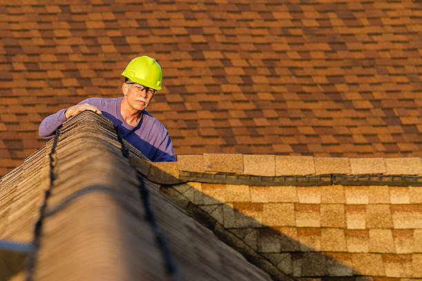 Best Roof Inspection Near Me  in Ecorse, MI