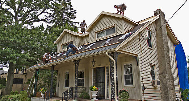 Best Roof Repair Services  in Ecorse, MI