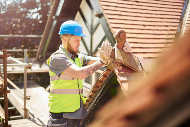 Best Sealant for Roof  in Ecorse, MI